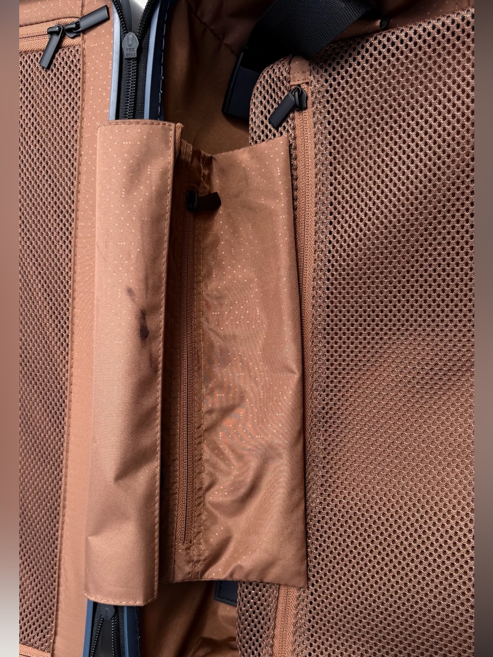 Lightweight Blue Spinner Carry-On with Organized Interior - Picture 5 of 15